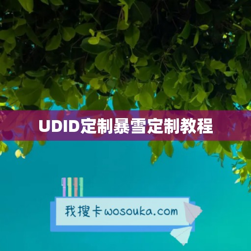 UDID定制暴雪定制教程