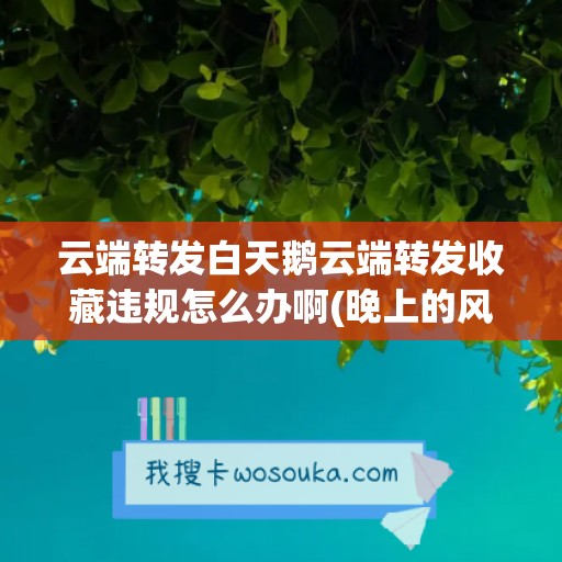 云端转发白天鹅云端转发收藏违规怎么办啊(晚上的风图片)