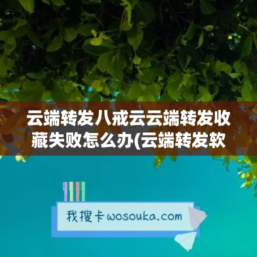 云端转发八戒云云端转发收藏失败怎么办(云端转发软件)