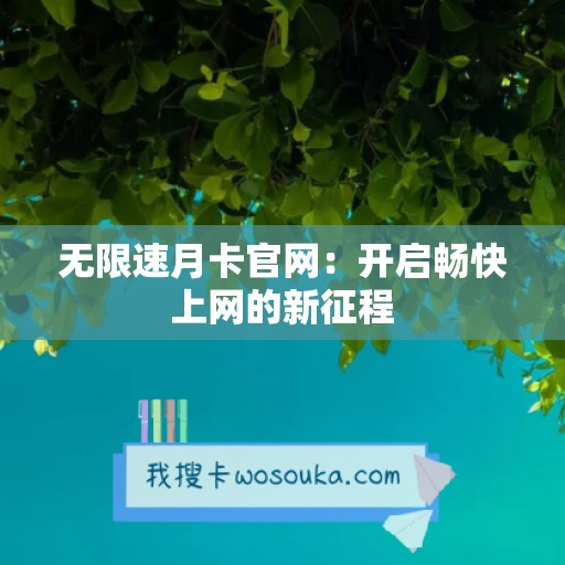 无限速月卡官网：开启畅快上网的新征程