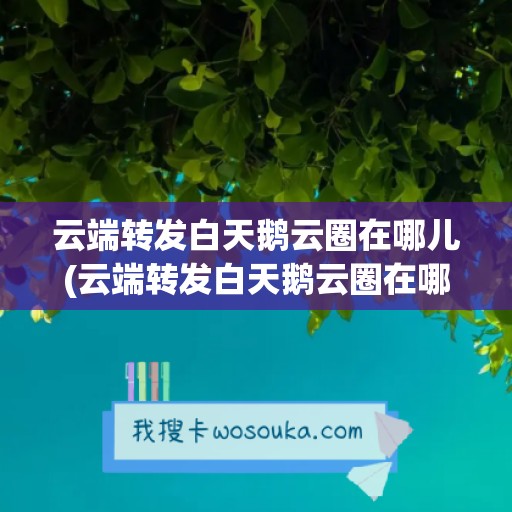 云端转发白天鹅云圈在哪儿(云端转发白天鹅云圈在哪儿看)