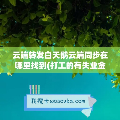 云端转发白天鹅云端同步在哪里找到(打工的有失业金吗)