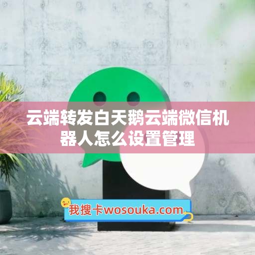 云端转发白天鹅云端微信机器人怎么设置管理