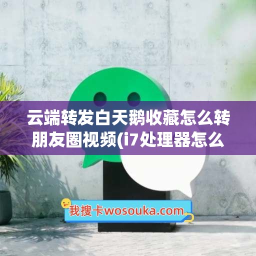 云端转发白天鹅收藏怎么转朋友圈视频(i7处理器怎么装win7)