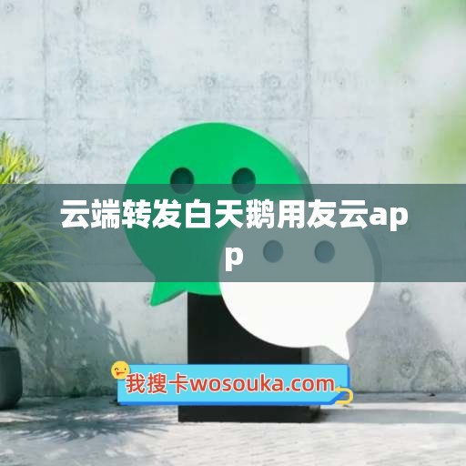 云端转发白天鹅用友云app