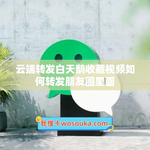 云端转发白天鹅收藏视频如何转发朋友圈里面