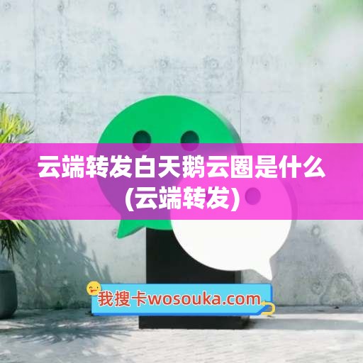 云端转发白天鹅云圈是什么(云端转发)