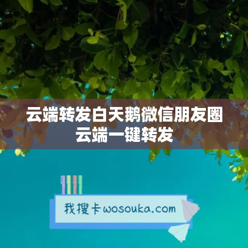 云端转发白天鹅微信朋友圈云端一键转发