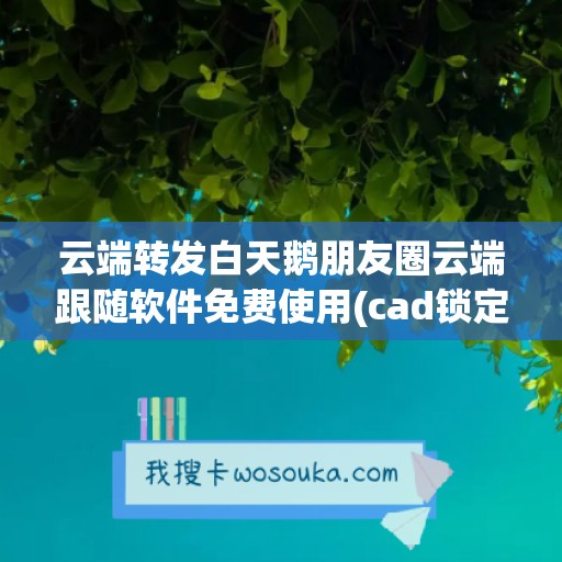 云端转发白天鹅朋友圈云端跟随软件免费使用(cad锁定图层透明度)