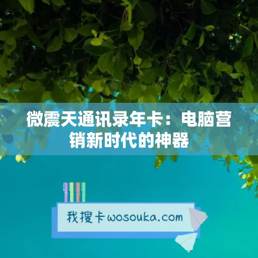 微震天通讯录年卡：电脑营销新时代的神器