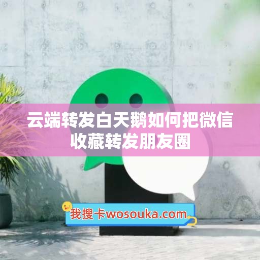 云端转发白天鹅如何把微信收藏转发朋友圈