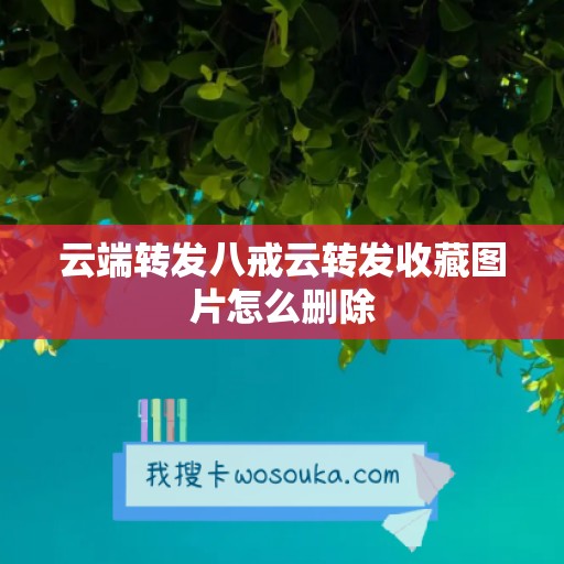 云端转发八戒云转发收藏图片怎么删除