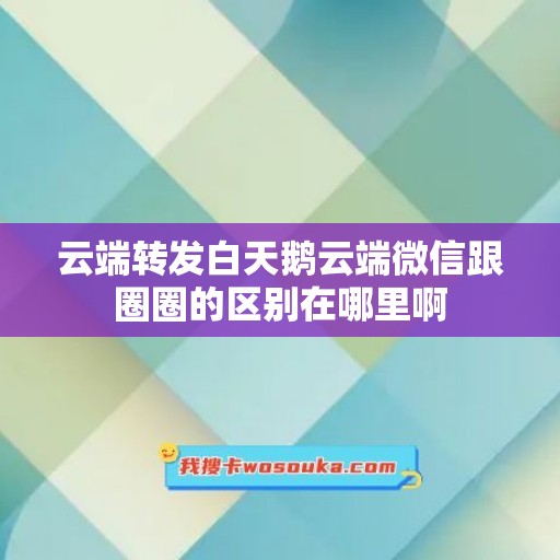 云端转发白天鹅云端微信跟圈圈的区别在哪里啊