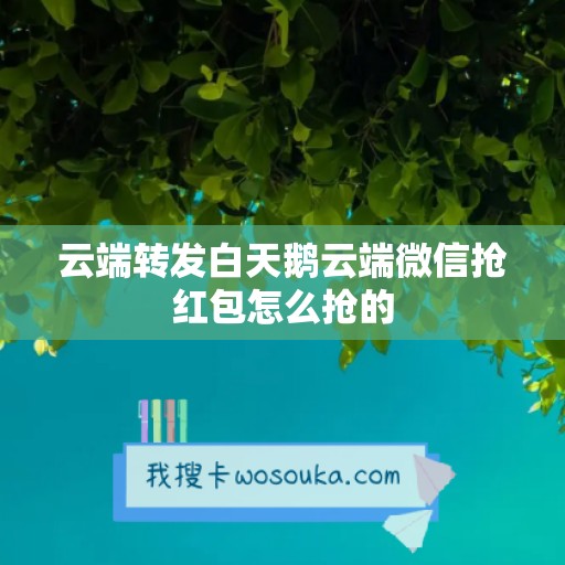 云端转发白天鹅云端微信抢红包怎么抢的