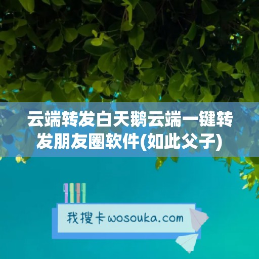 云端转发白天鹅云端一键转发朋友圈软件(如此父子)