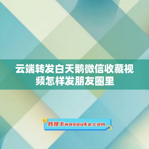 云端转发白天鹅微信收藏视频怎样发朋友圈里