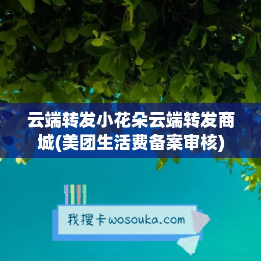 云端转发小花朵云端转发商城(美团生活费备案审核)