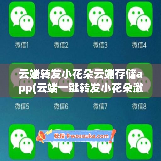 云端转发小花朵云端存储app(云端一键转发小花朵激活码)