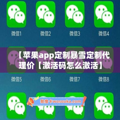 【苹果app定制暴雪定制代理价【激活码怎么激活】