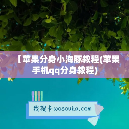 【苹果分身小海豚教程(苹果手机qq分身教程)