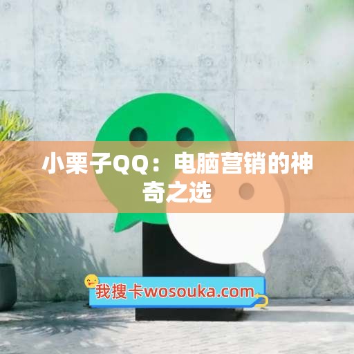 小栗子QQ：电脑营销的神奇之选