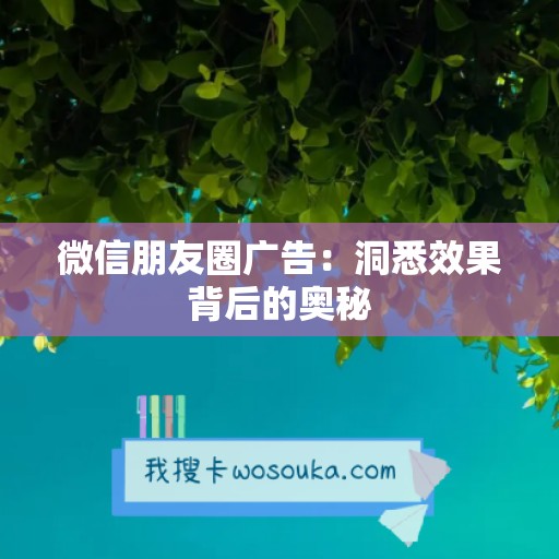 微信朋友圈广告：洞悉效果背后的奥秘