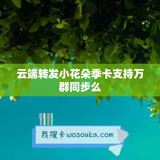 云端转发小花朵季卡支持万群同步么