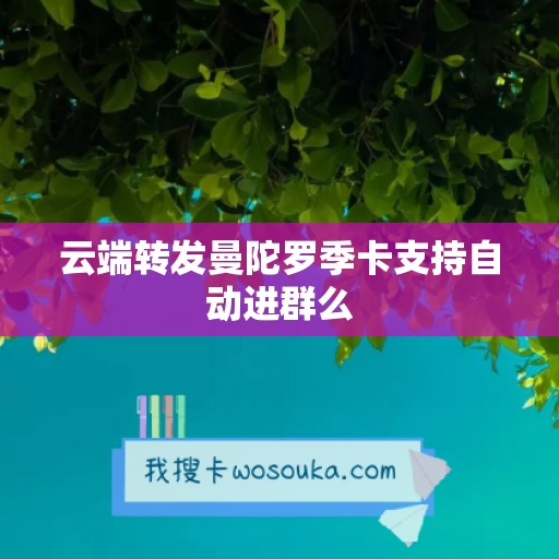 云端转发曼陀罗季卡支持自动进群么