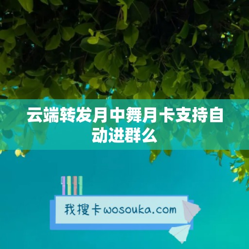 云端转发月中舞月卡支持自动进群么