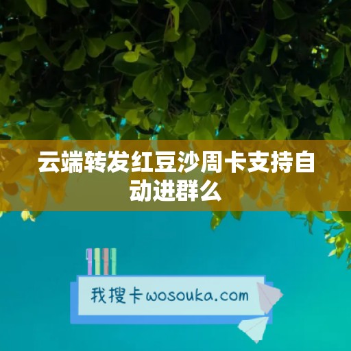 云端转发红豆沙周卡支持自动进群么