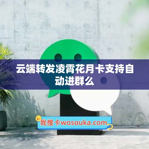 云端转发凌霄花月卡支持自动进群么