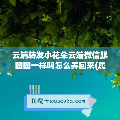 云端转发小花朵云端微信跟圈圈一样吗怎么弄回来(属龙跟属羊的婚姻状况)