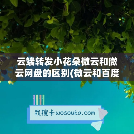 云端转发小花朵微云和微云网盘的区别(微云和百度云一样吗)