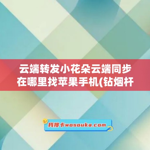 云端转发小花朵云端同步在哪里找苹果手机(钻烟杆工具)