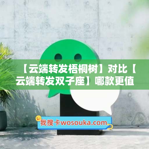 【云端转发梧桐树】对比【云端转发双子座】哪款更值得选择