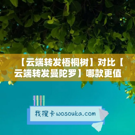 【云端转发梧桐树】对比【云端转发曼陀罗】哪款更值得选择