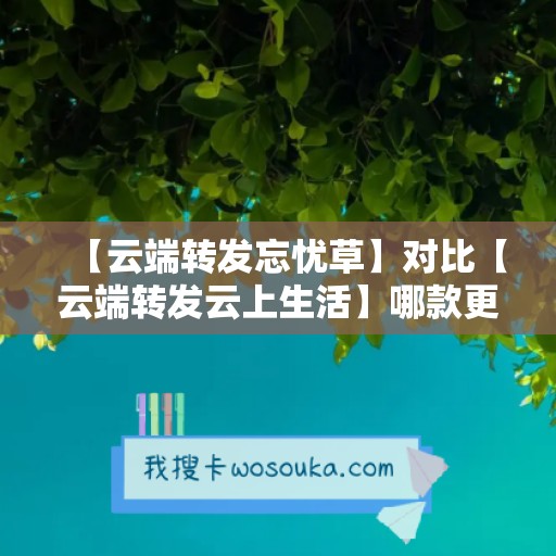 【云端转发忘忧草】对比【云端转发云上生活】哪款更值得选择