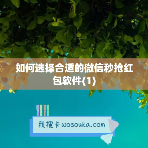 如何选择合适的微信秒抢红包软件(1)