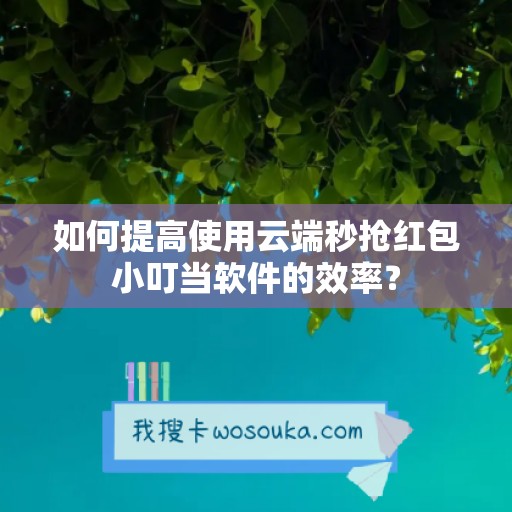 如何提高使用云端秒抢红包小叮当软件的效率？