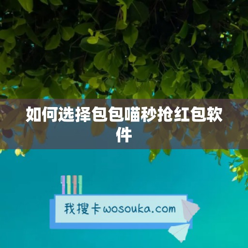 如何选择包包喵秒抢红包软件