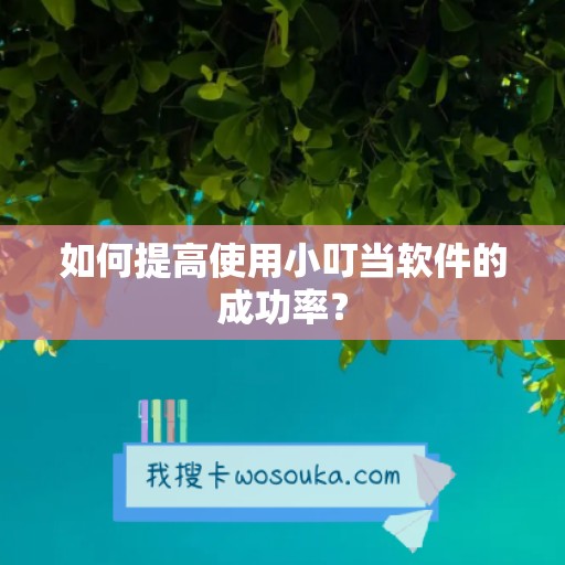 如何提高使用小叮当软件的成功率？