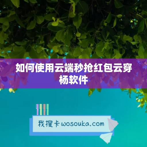 如何使用云端秒抢红包云穿杨软件