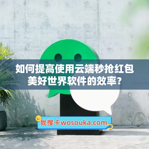 如何提高使用云端秒抢红包美好世界软件的效率？