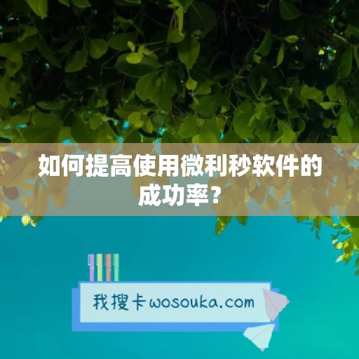 如何提高使用微利秒软件的成功率？