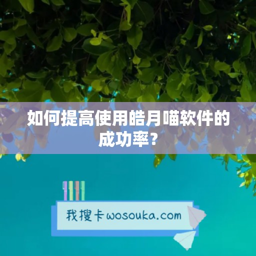 如何提高使用皓月喵软件的成功率？