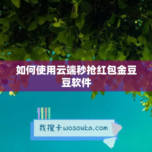 如何使用云端秒抢红包金豆豆软件