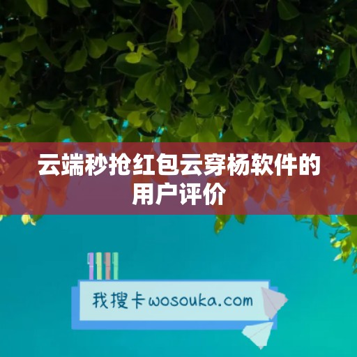 云端秒抢红包云穿杨软件的用户评价