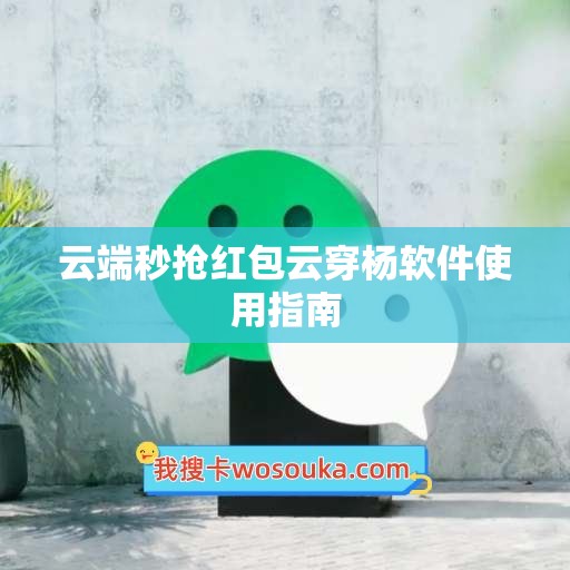 云端秒抢红包云穿杨软件使用指南