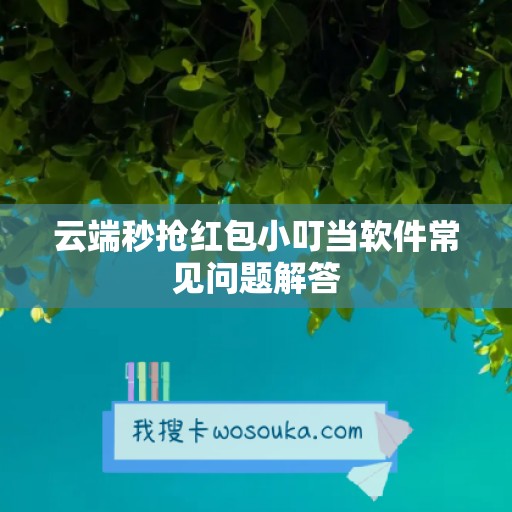 云端秒抢红包小叮当软件常见问题解答