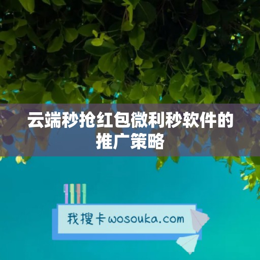 云端秒抢红包微利秒软件的推广策略